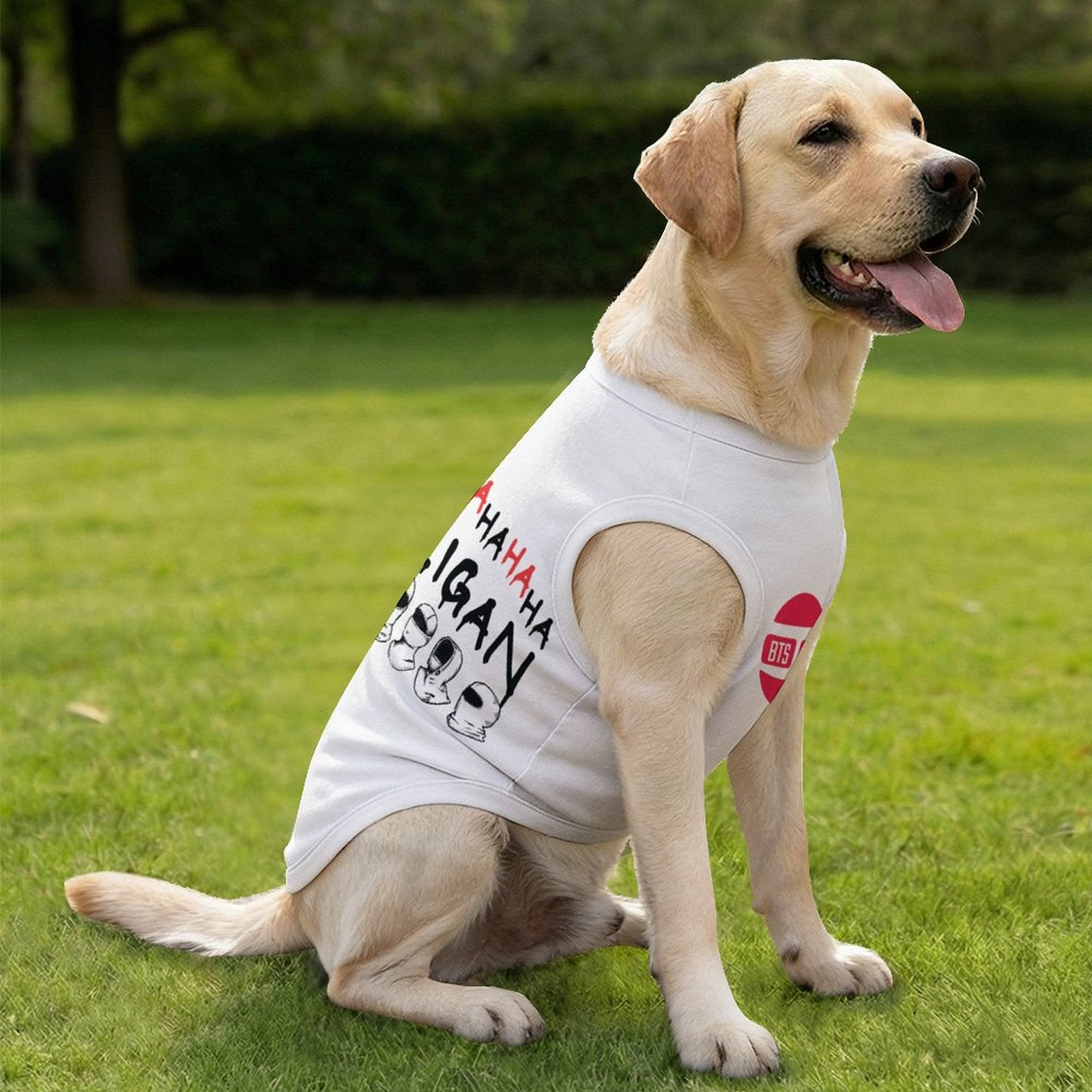 Large golden retriever wearing a white BTS Hooligan plus size cooling tank top.